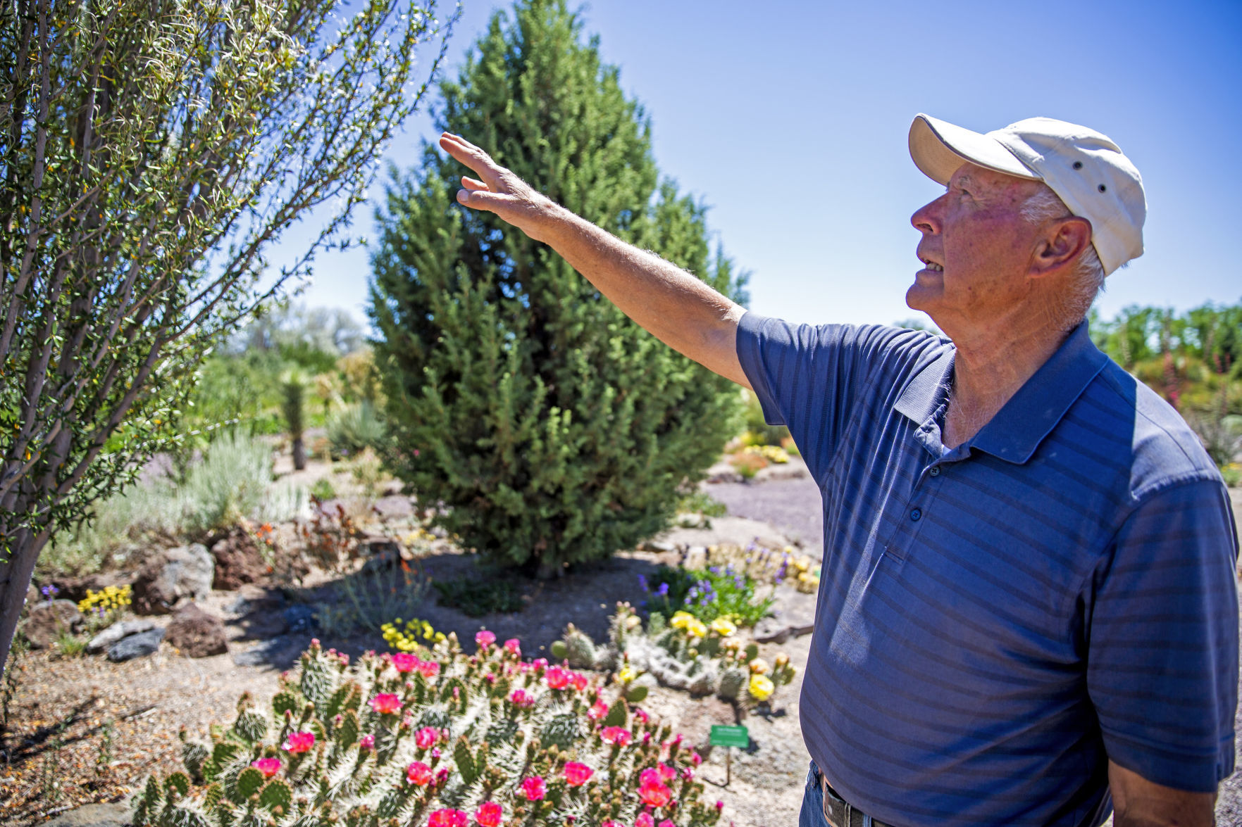 Xeriscaping